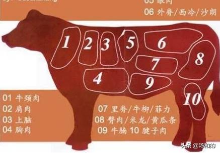 肥牛不包括什么_肥牛不包括什么?