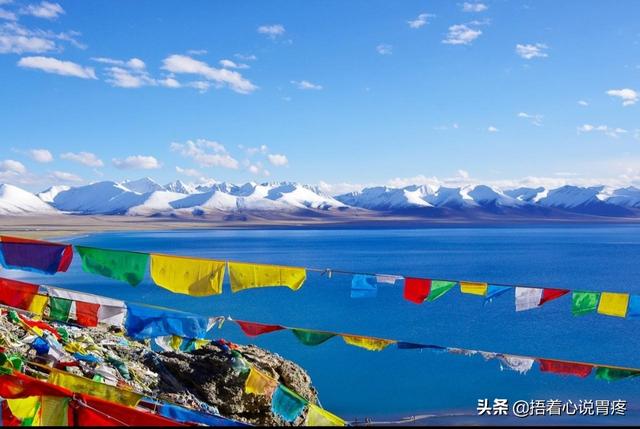 太阳镜蚂蚁庄园_太阳镜的功能及使用
