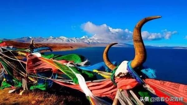 太阳镜蚂蚁庄园_太阳镜的功能及使用