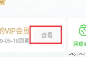 爱奇艺怎么开通vip_爱奇艺怎么开通VIP会员
