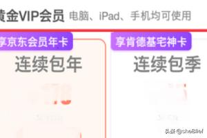 爱奇艺怎么开通vip_爱奇艺怎么开通VIP会员