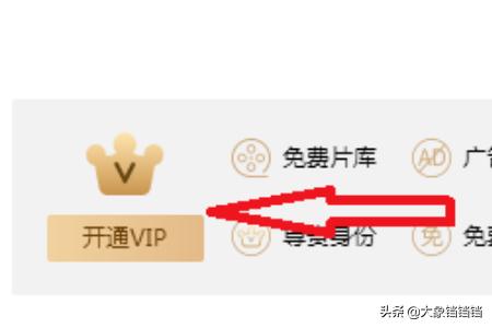 爱奇艺怎么开通vip_爱奇艺怎么开通VIP会员