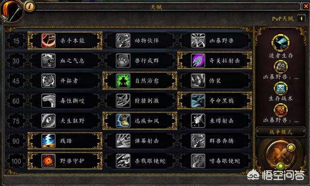 魔兽猎人_魔兽猎人宝宝推荐