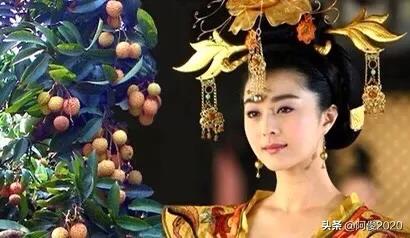 一骑红尘妃子笑中的主角杨贵妃_一骑红尘妃子笑杨贵妃是因为什么东西而笑