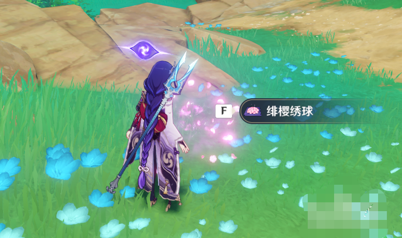 绯樱绣球怎么采集_绯樱绣球怎么采集不了