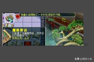 鸦人的羽毛_鸦人的羽毛任务在哪接