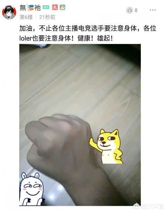 我是英雄联盟里最骚的骚猪_我是英雄联盟里最骚的骚猪是谁