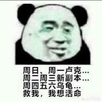 steam能干怀孕的游戏_steam可以干怀孕的游戏