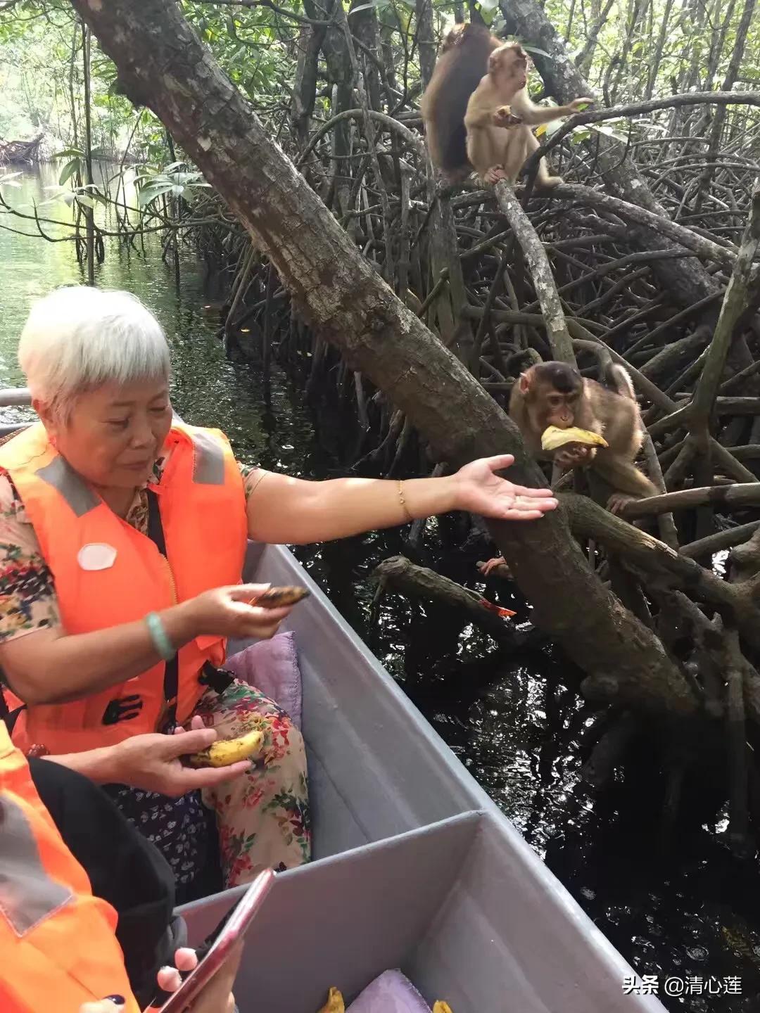 流萤图片_流萤图片壁纸