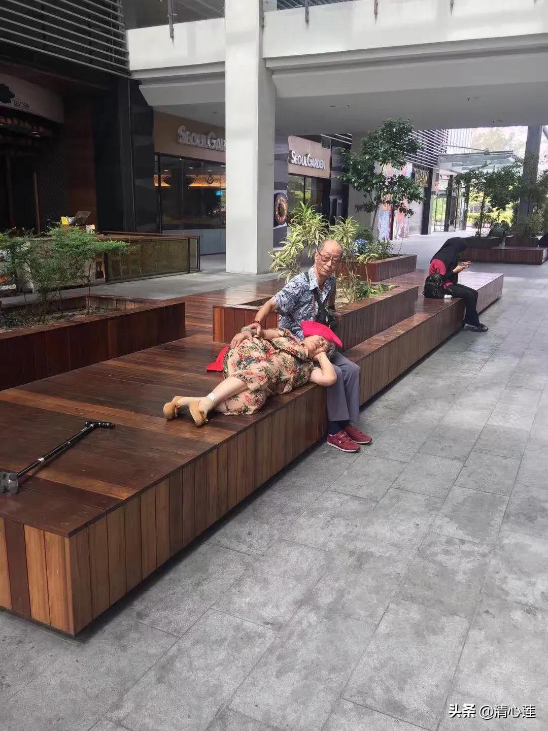流萤图片_流萤图片壁纸