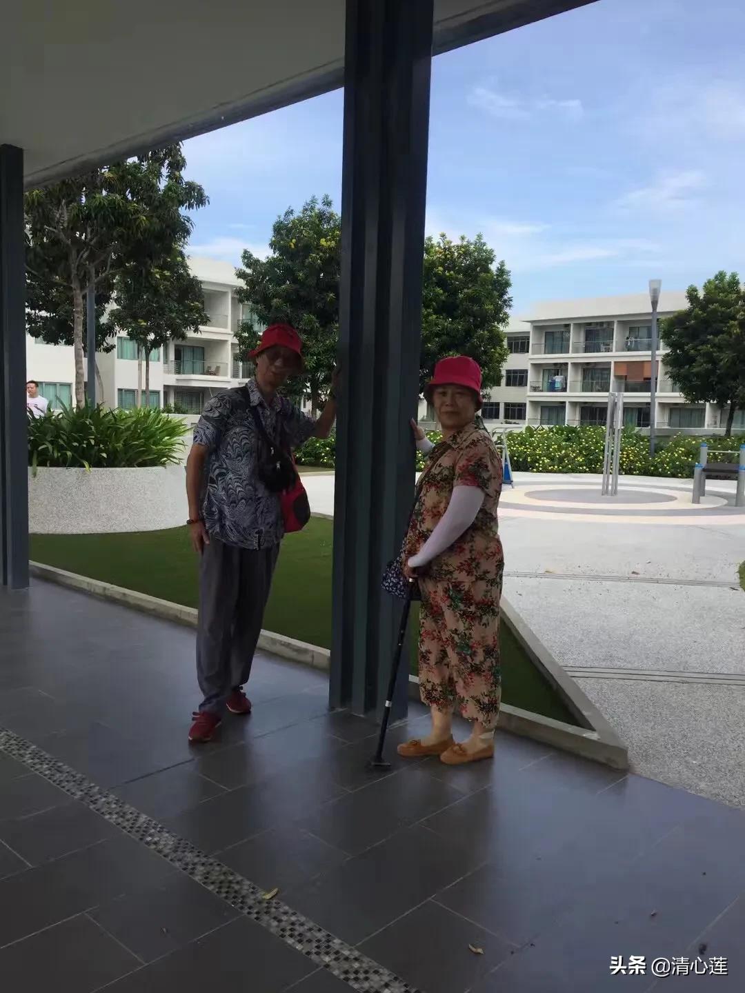 流萤图片_流萤图片壁纸