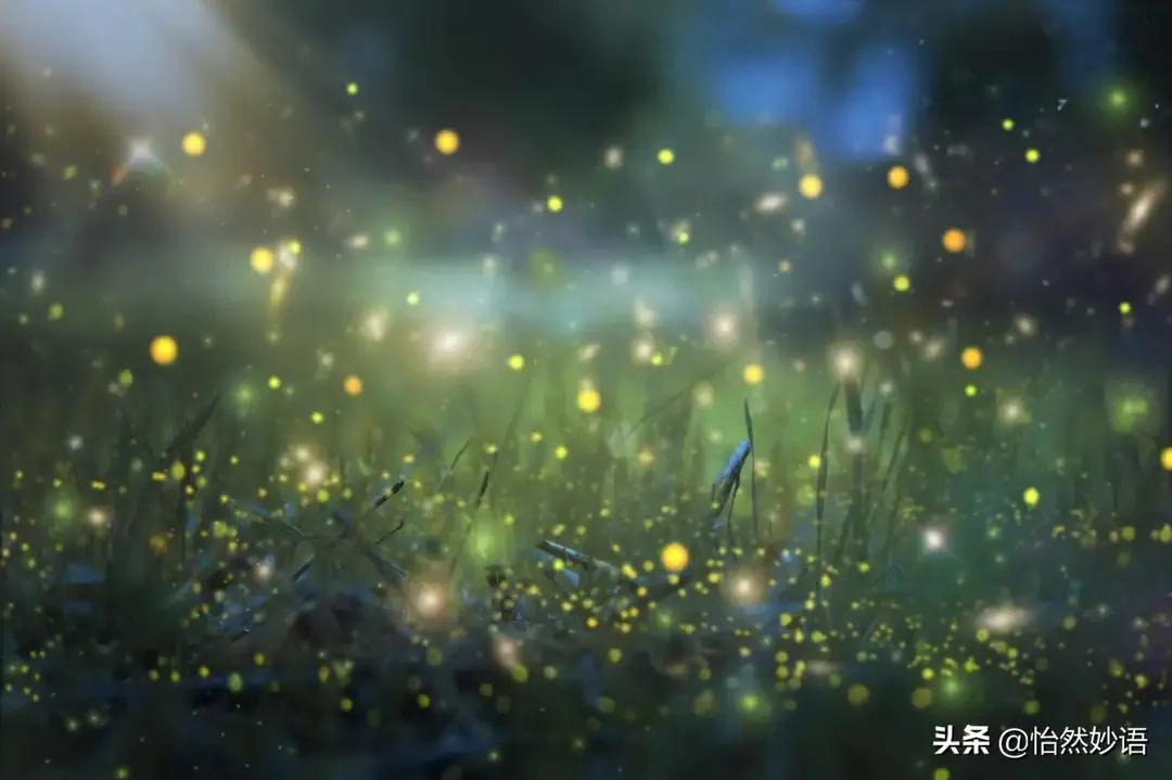 流萤图片_流萤图片壁纸