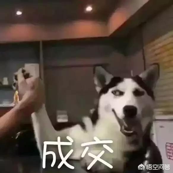 dnf一进频道就掉线_dnf一进频道就掉线怎么回事