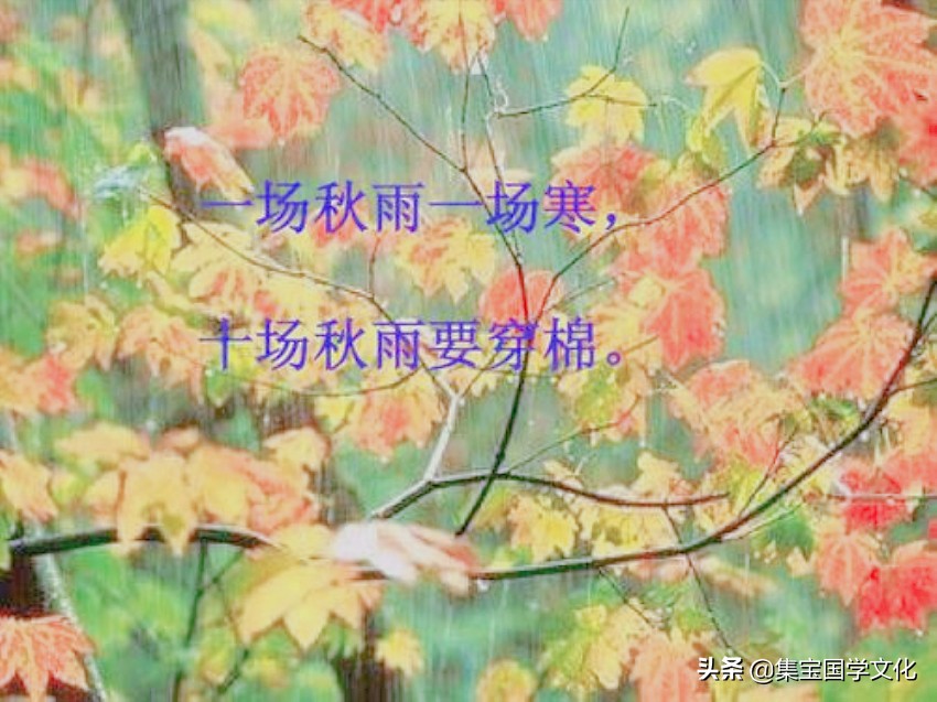 俗语一场秋雨一场寒有科学依据吗_俗语一场秋雨一场寒有科学依据吗为什么