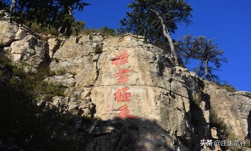大掌门令狐冲_大掌门令狐冲怎么培养