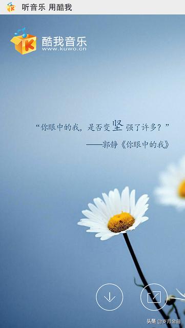 免费播放器_免费播放器app哪个最好用