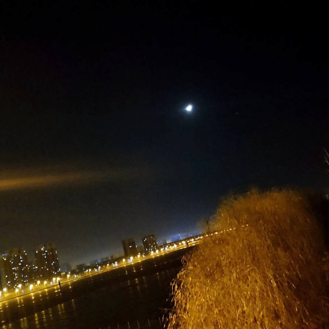 独身一人?_独身一人是什么意思啊