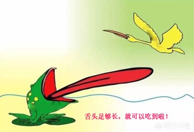癞蛤蟆吃天鹅肉照片_