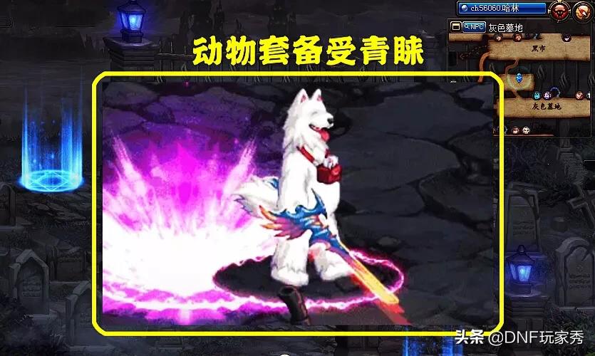 dnf女枪转什么_dnf女枪转什么职业好2021