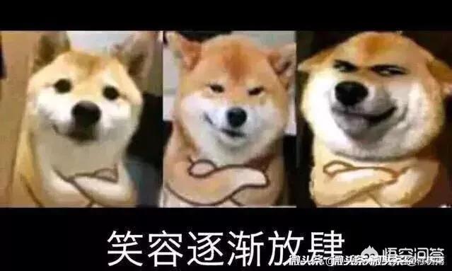 皇帝成长计划丹药_皇后成长计划2攻略详细