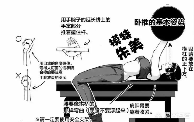 h动漫游戏下载_动漫app游戏