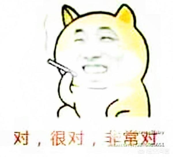 dnf几周年了_dnf几周年了?