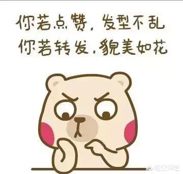 梦幻包子_梦幻包子去哪里买