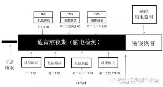 明星志愿2000_明星志愿2攻略