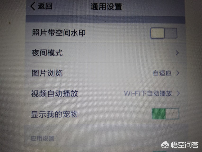 qq空间宠物_QQ空间宠物为什么没有了
