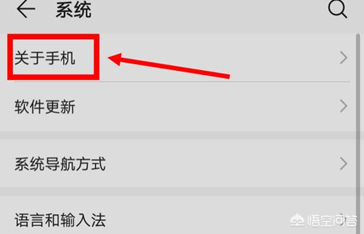 如何进入开发者模式_如何进入开发者模式华为