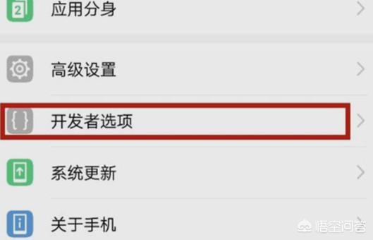 如何进入开发者模式_如何进入开发者模式华为