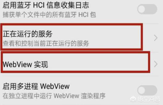 如何进入开发者模式_如何进入开发者模式华为