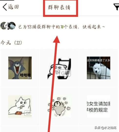 q表情_q表情含义