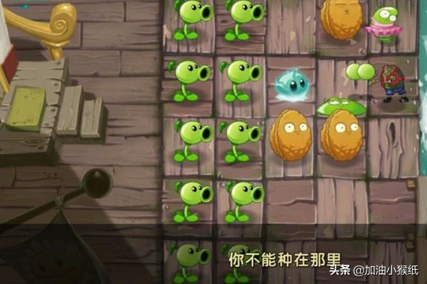 海盗港湾第七天_海盗港湾第七天简单