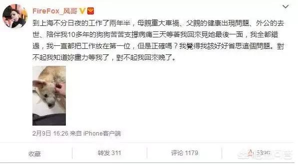 风哥_风哥是谁