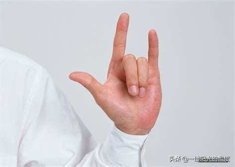 手语是全世界都一样吗_正常人学手语难吗