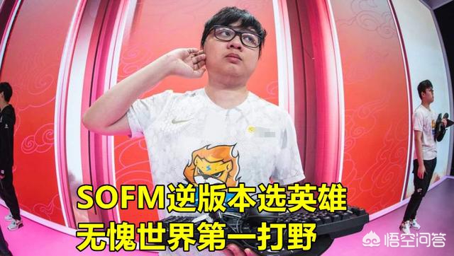 sofm加入sn_sofm sn