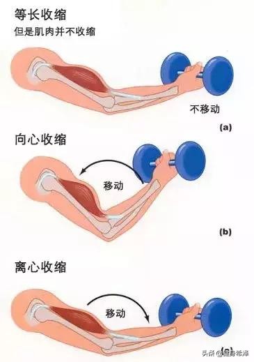 完美公主_完美公主进化论