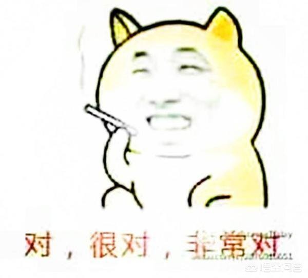 dnf停服_dnf停服游戏停服了吗