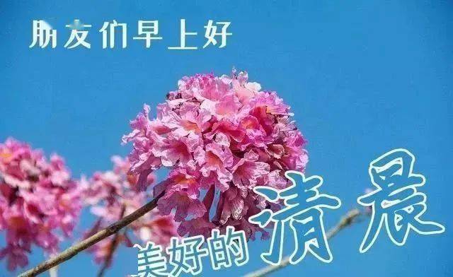 2021图片_下一站2021图片