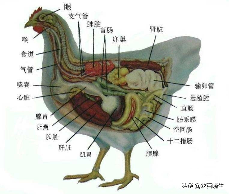 豆儿_豆儿日记