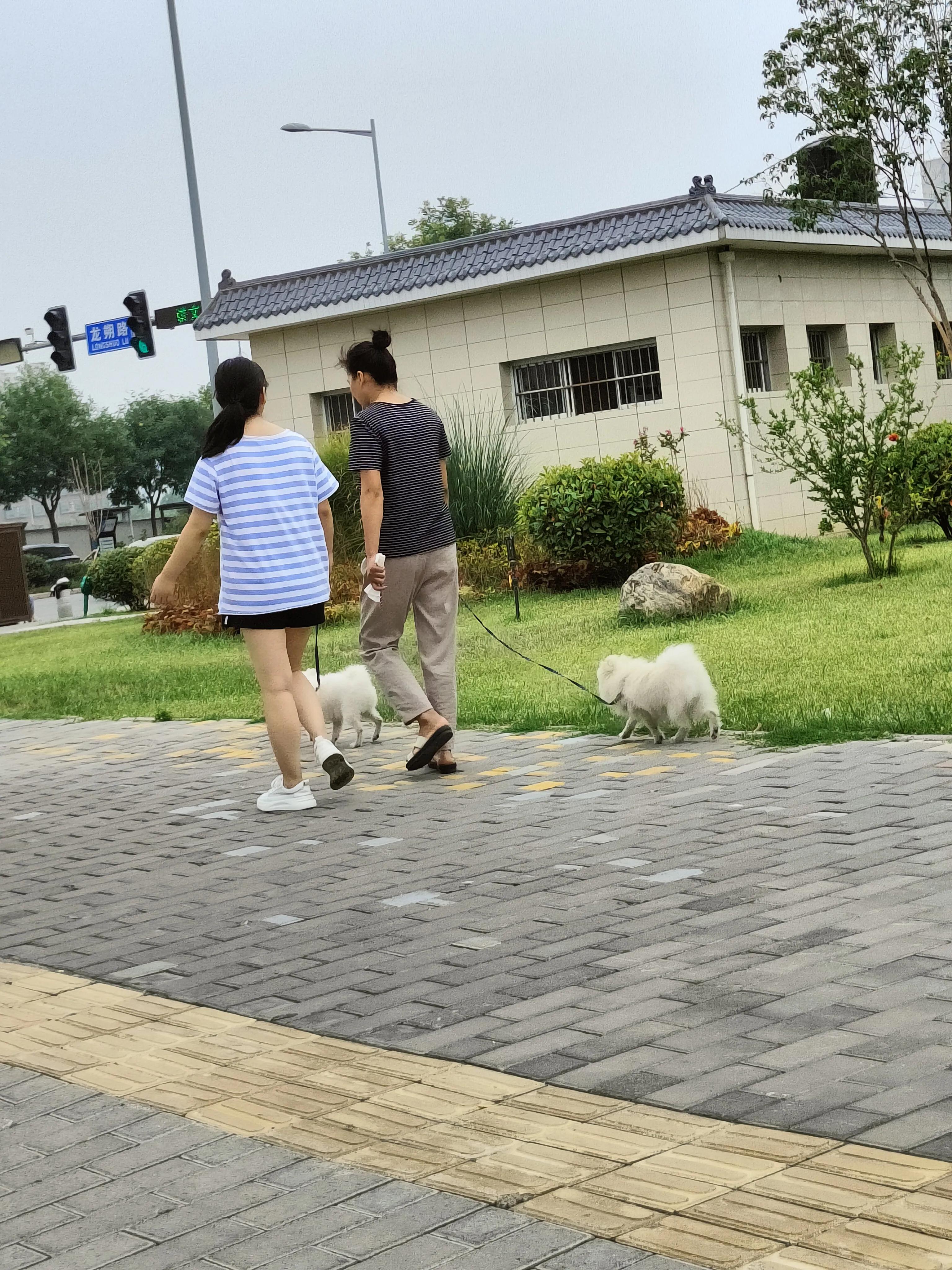做家务能代替体育锻炼吗_做家务能代替体育锻炼吗英语