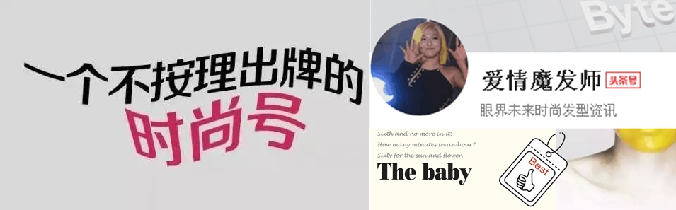 头像表情鸭_头像表情鸭下载