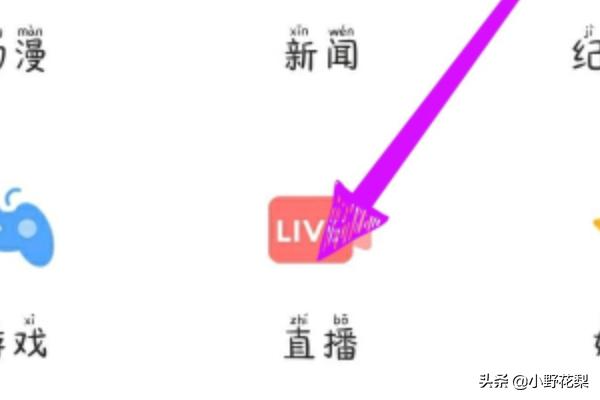 芒果大直播_芒果大直播 综艺节目