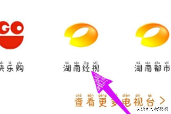 芒果大直播_芒果大直播 综艺节目