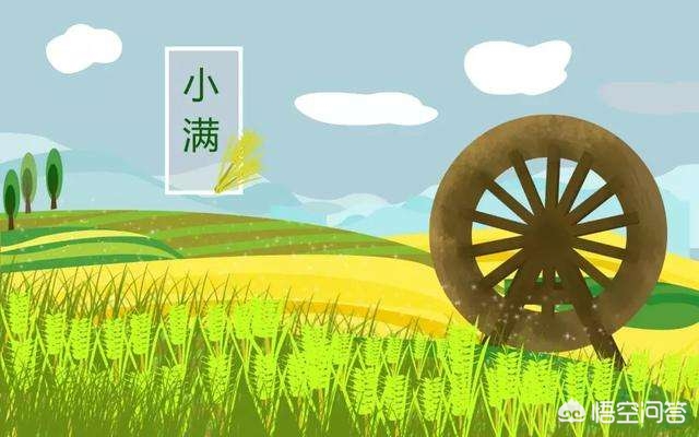 小满不满干断田坎是什么意思_小满不满,干断思坎!是什么意思