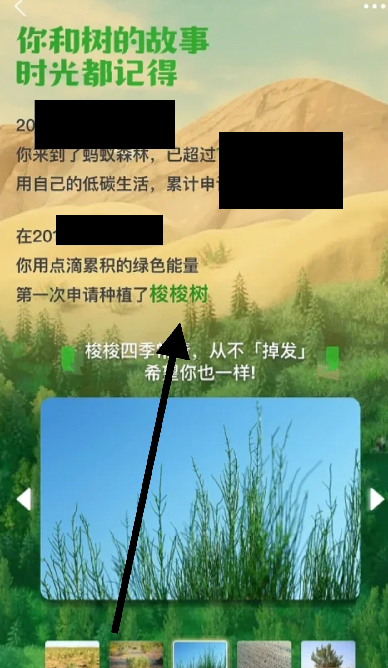 蚂蚁森林周年庆_蚂蚁森林周年庆是哪一天