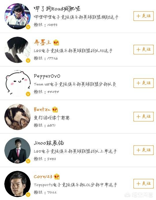 v5战队_v5战队前身是哪个战队