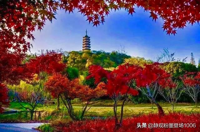 百闻_百闻不如一见下一句是什么意思
