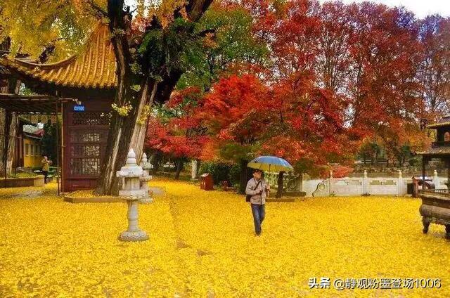 百闻_百闻不如一见下一句是什么意思